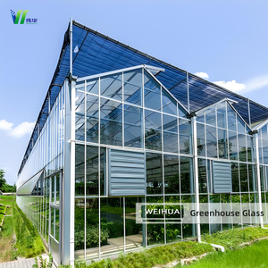 高透射率增韧 温室玻璃（清晰且扩散的图案）